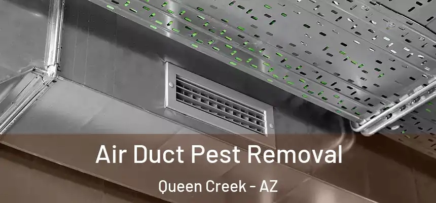  Air Duct Pest Removal Queen Creek - AZ
