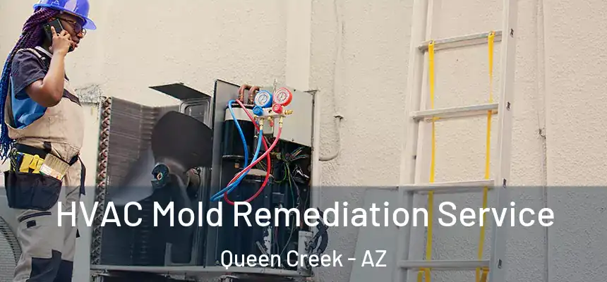  HVAC Mold Remediation Service Queen Creek - AZ