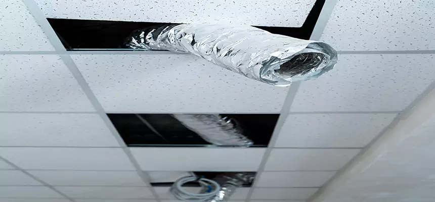 Our Air Duct Pet Hair Removal Services in Queen Creek, AZ