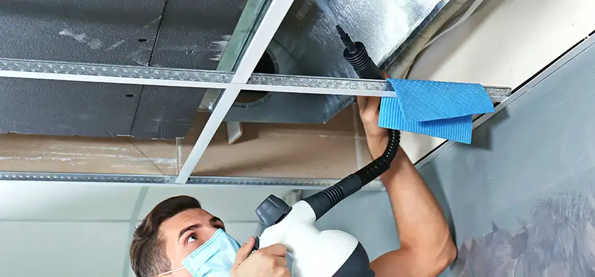 Our Air Duct Rodent Removal Services in Queen Creek, AZ