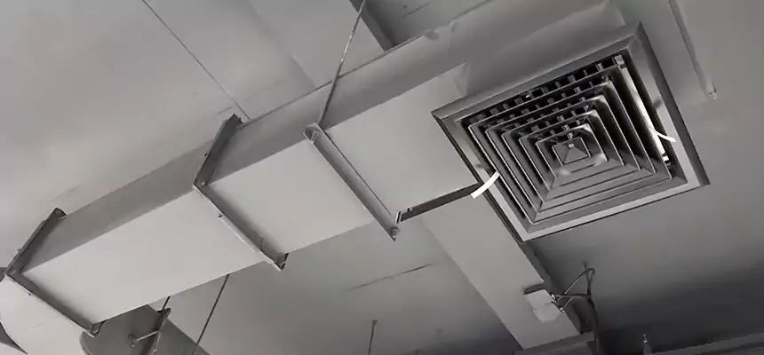 Restorative Allergy Relief Vent Cleaning – Coil, Blower & Housing Detail in Queen Creek