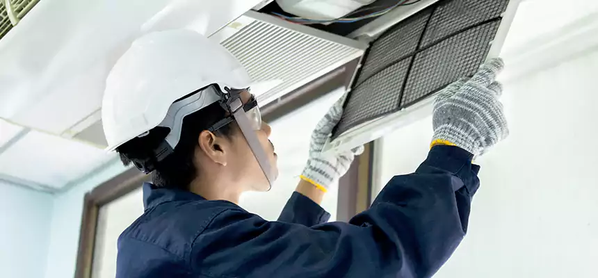 Our Mold & Mildew Removal from Air Ducts Services in Queen Creek, AZ