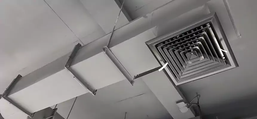 Our Pest Removal From Ducts Services in Queen Creek, AZ