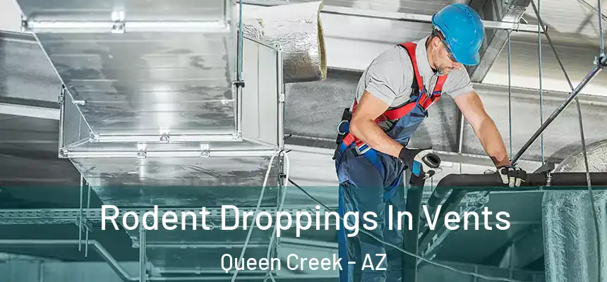  Rodent Droppings In Vents Queen Creek - AZ