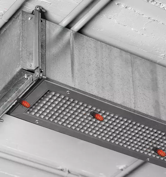 About Air Duct Cockroach Removal in Queen Creek, AZ