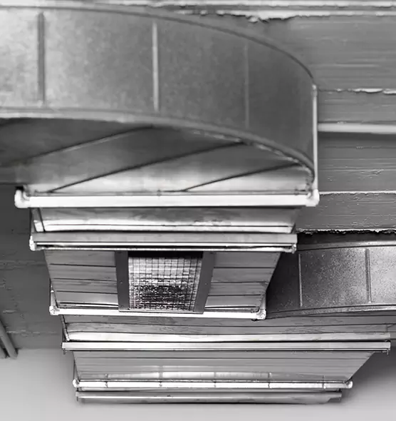 Professional Air Duct Pest Removal in Queen Creek, AZ