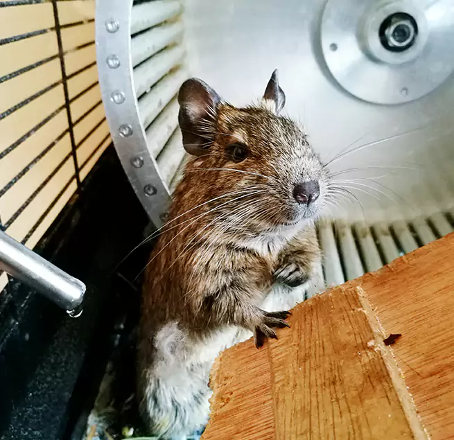 Why Homeowners & Businesses Trust Us Queen Creek, AZ