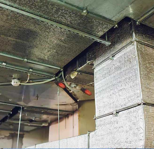 Why Homeowners & Businesses Trust Us Queen Creek, AZ?